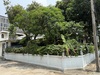 รูปย่อ ขายบ้านเดี่ยว ย่านสะพานควาย หมู่บ้านจตุรมิตร ซอยประดิพัทธ์ 15 รูปที่2