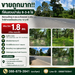 รูปย่อ ขายถูกมาก!! ที่ดินสวนปาล์ม 8-3-6 ไร่ ติดถนนใหญ่ 4 เลน อ.ห้วยยอด จ.ตรัง ใกล้อำเภอเมืองประมาณ 12 นาที รูปที่1