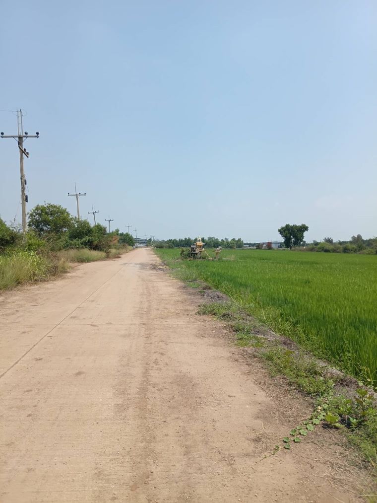 ที่ดินเหมาะสร้างโรงงาน-โกดัง 2-500 ไร่ พื้นที่สีม่วง ถนนบางบัวทอง-สุพรรณ(340) รูปที่ 3