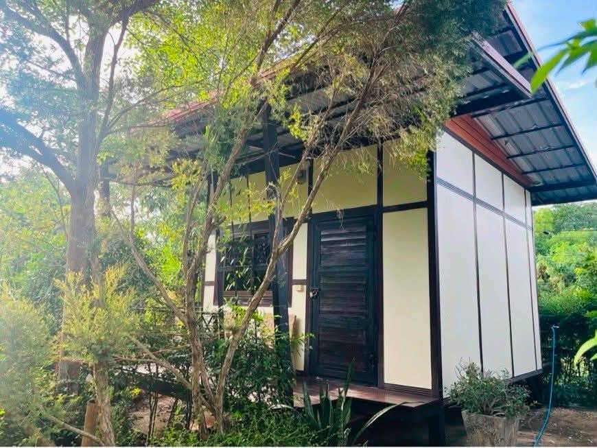 วันว่างรีสอร์ท ห้องพักรายวัน รายเดือน บรรยากาศร่มรื่น ล้อมรอบด้วยต้นไม้ อยู่ในตัวอำเภอปักธงชัย โคราช รูปที่ 7