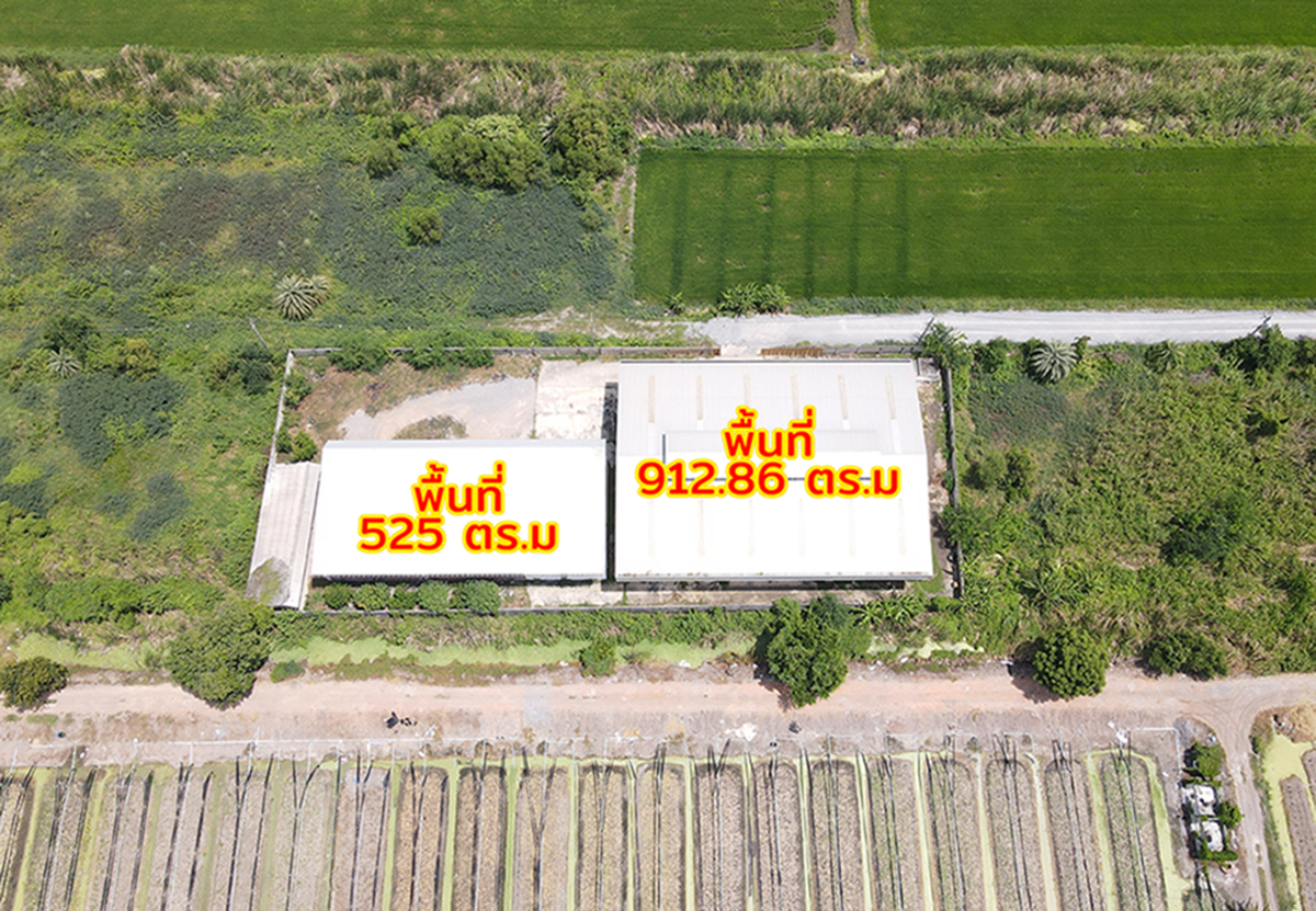 ขายโรงงาน+โกดัง ไทรใหญ่ ไทรน้อย นนทบุรี รูปที่ 3