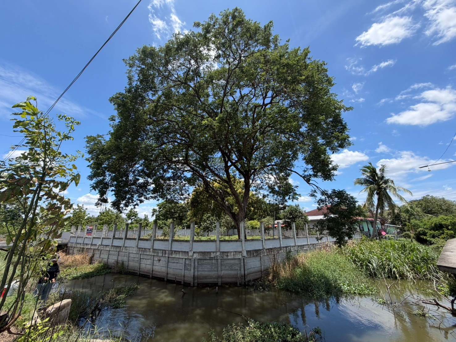 ที่ดินถมแล้ว ซอยวัดไผ่ฟ้า ทำเลดีถนนราชพฤกษ์ รูปที่ 3