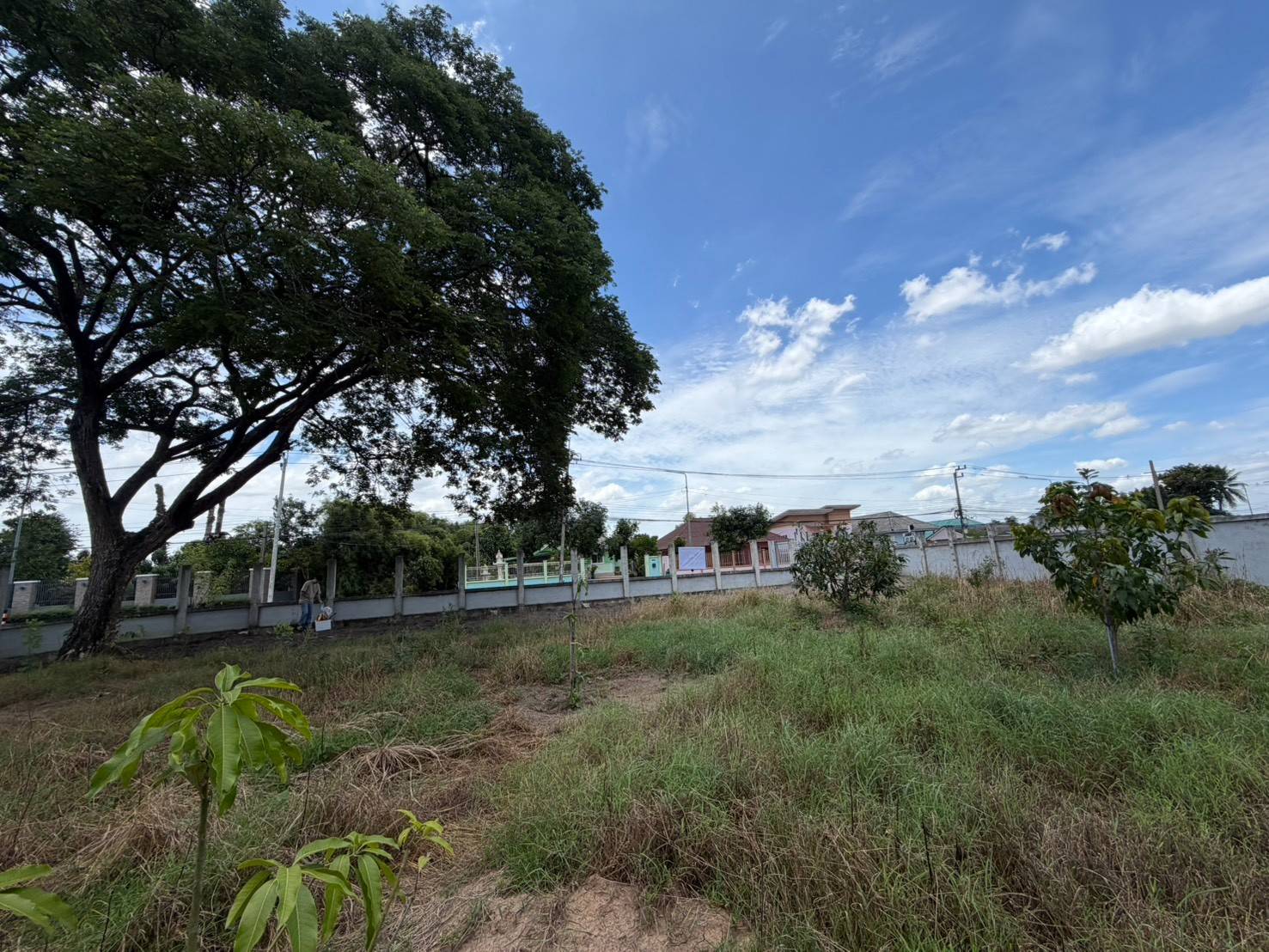 ที่ดินถมแล้ว ซอยวัดไผ่ฟ้า ทำเลดีถนนราชพฤกษ์ รูปที่ 6