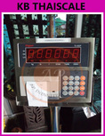เครื่องชั่งพร้อมพิมพ์ ตาชั่งพิมพ์น้ำหนัก 100kg*10g TI-02P-3040-100K