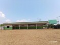 ขายโกดัง ลำพูน ถนน สายบ้านม่วงสามปี - บ้านห้วยหญ้าไท ตำบลนาทราย อำเภอลี้