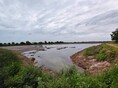 ขายที่ดินบ้านโพธิ์ฉะเชิงเทรา ที่ดินเนื้อที่รวมทั้งหมด 184-1-85 ไร่ (มีทั้งหมด 4 แปลง)