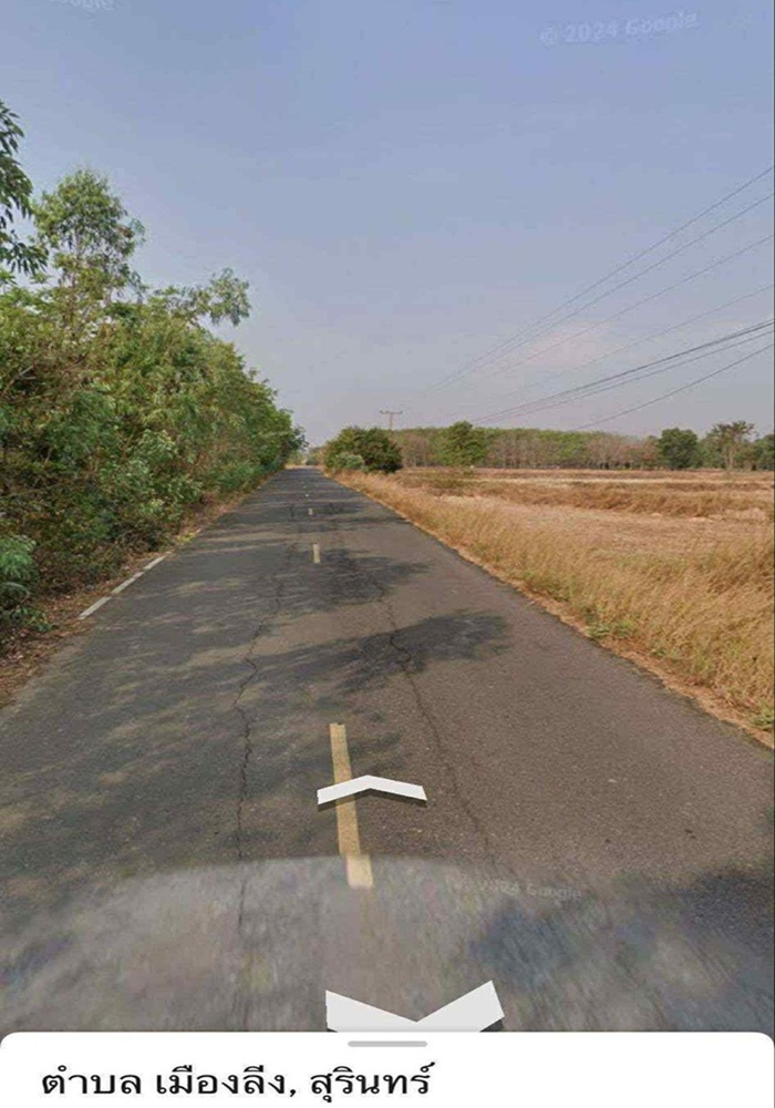 ขายที่ดิน 13 ไร่ อ.จอมพระ จ.สุรินทร์ รูปที่ 3