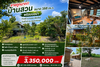 รูปย่อ ขายถูกมาก!! บ้านสวน ขนาด 168 ตร.ว. พร้อมบ่อน้ำ ทำเลดี อ.หางดง เชียงใหม่ ใกล้บิ๊กซี โรงเรียนนานาชาติฯ รูปที่1