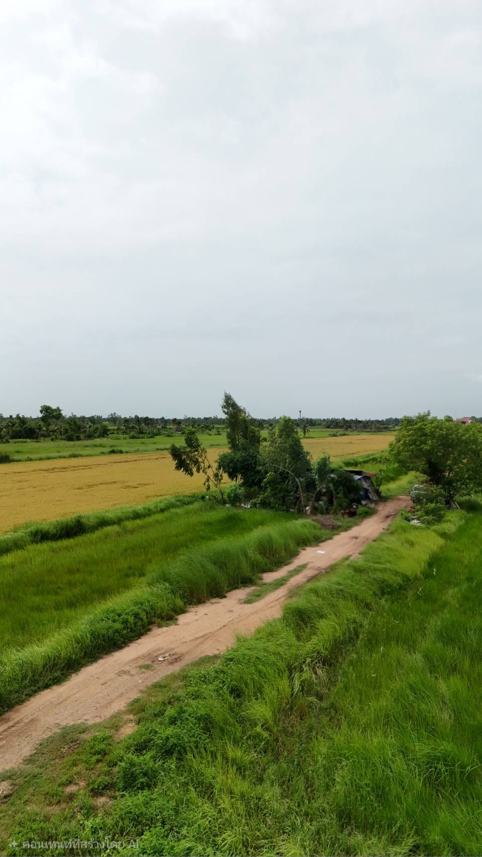 ขายที่ดินจัดสรร องครักษ์ นครนายก เหมาะสร้างบ้าน โฉนดครุฑแดง  พร้อมโอน รูปที่ 4