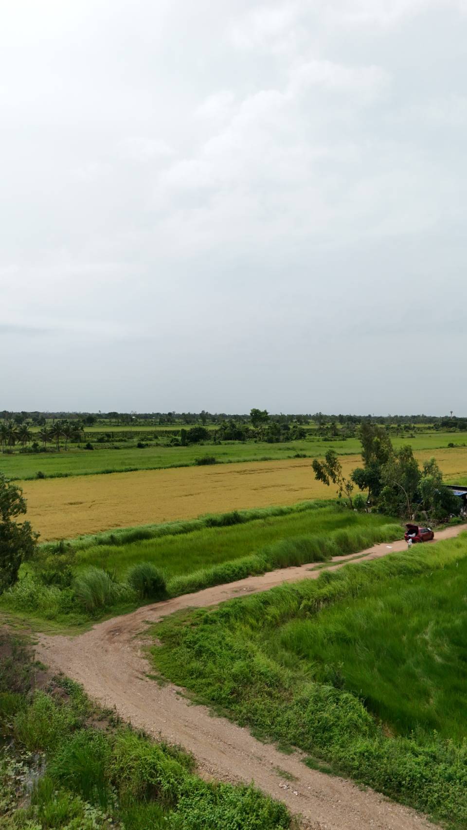 ขายที่ดินจัดสรร องครักษ์ นครนายก เหมาะสร้างบ้าน โฉนดครุฑแดง  พร้อมโอน รูปที่ 3