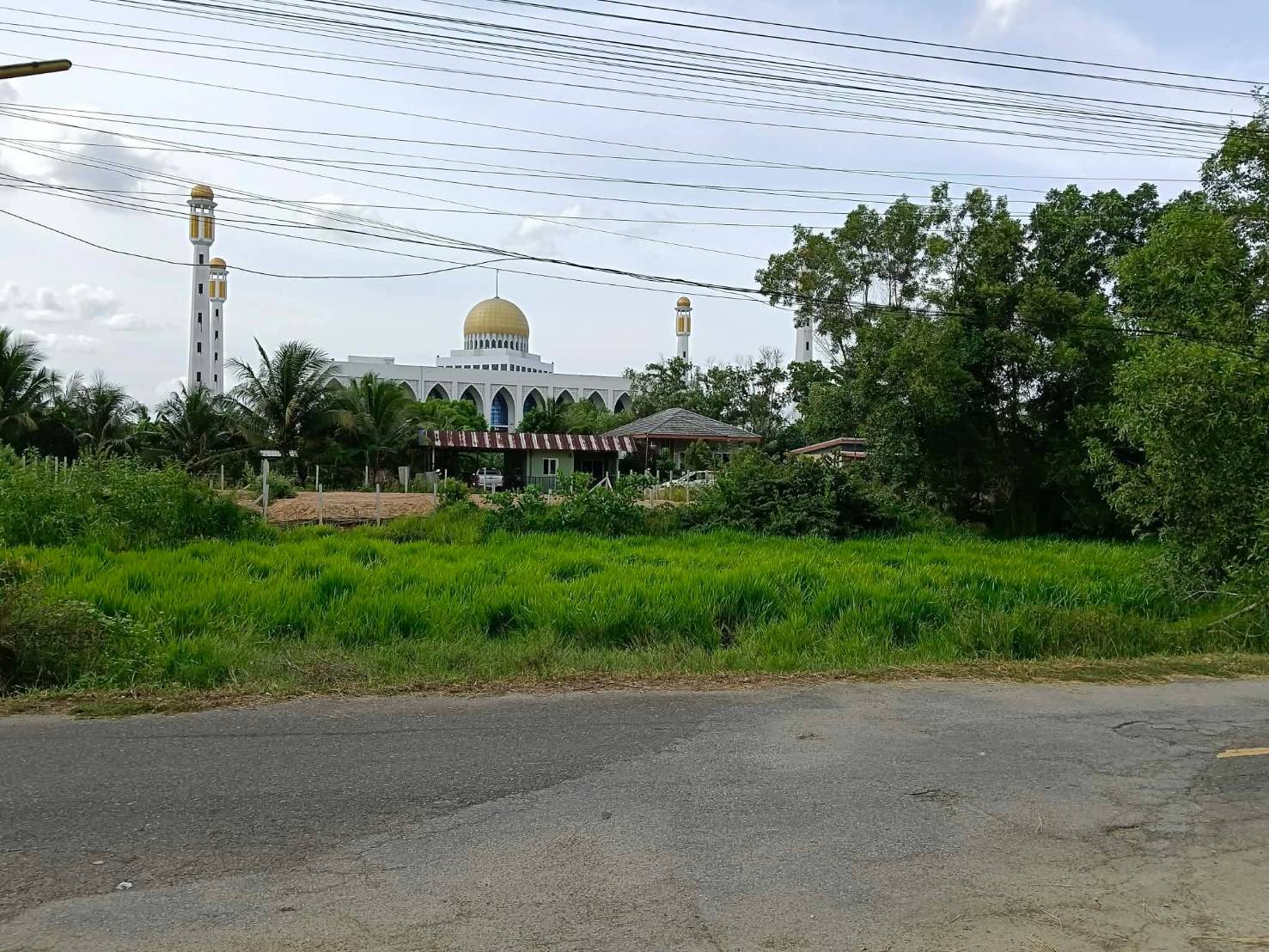ขายถูกมาก!! ที่ดิน 45 ตร.ว. 2 แปลงติดกัน ติดถนน ทำเลทอง ต.คลองแห อ.หาดใหญ่ จ.สงขลา ใกล้ตลาดน้ำ บิ๊กซีฯ รูปที่ 4