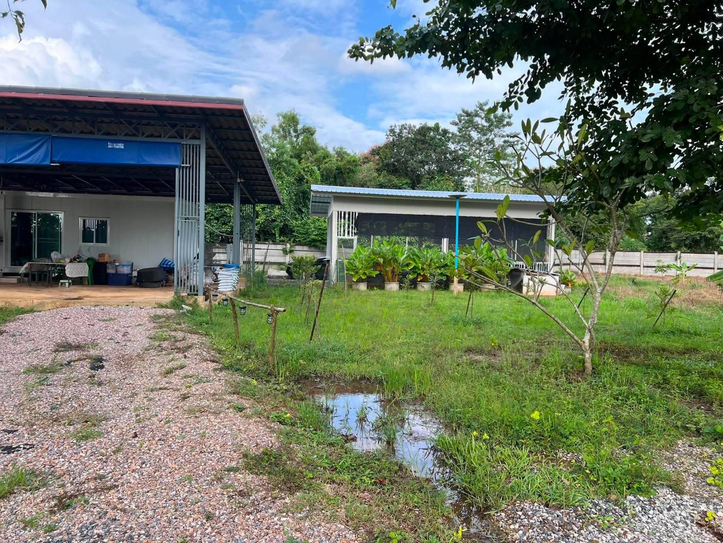 ขายถูกมาก!! ที่ดินการเกษตร 112 ไร่ วิวภูเขา ติดคลอง มีบ่อน้ำ พร้อมระบบน้ำเปิด 2,000 หัว ทำเลดีมาก อ.นาดี ปราจีนบุรี รูปที่ 5