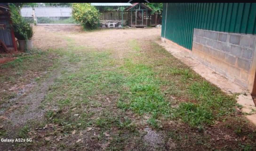 ขายถูกมาก!! ที่ดิน 477 ตร.ว. ติดถนน 2 ด้าน อ.เมือง จ.ตรัง ซอยตรงข้ามศาลากลางจังหวัดตรัง ใกล้โรบินสันฯ รูปที่ 4
