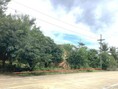 ขายอพาร์ทเม้นท์เมืองพัทลุง ถนนสายบ้านเขาแดง - บ้านท่าโพธิ์