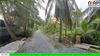 รูปย่อ ที่ดินริมแม่น้ำท่าจีน ใกล้สะพานรุ่งสินพัฒนา เดินทางสะดวกมาก รูปที่4
