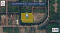ขายถูกด่วนๆ ที่ดินในโครงการคันทรี่การ์เด้น ราคาประเมิน