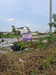 รูปย่อ ขายถูกมาก!! ที่ดิน 1-2-51 ไร่ ทำเลทอง ตรงข้าม สน.บางชัน ใกล้รถไฟฟ้า ห้างแฟชั่น สวนสยาม มอเตอร์เวย์ฯ รูปที่6