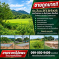 ขายถูกมาก!! ที่ดิน 3 แปลง 21ไร่ 30ไร่ 43ไร่ บนทำเลทอง อ.สันกำแพง เชียงใหม่ ใกล้เซเว่น ตลาดนัด โรงพยาบาลฯ