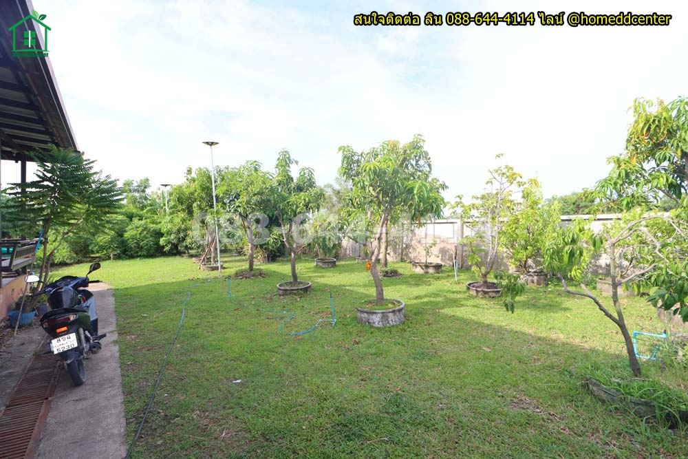 ขายที่ดินพร้อมบ้านสวนติดคลอง ลาดกระบัง 1-1-79 ไร่ (579 ตร.ว.) ถมแล้ว รั้วครบ ใกล้สุวรรณภูมิ มอเตอร์เวย์ & ม.พระจอมเกล้าลาดกระบัง (สจล.) รูปที่ 4