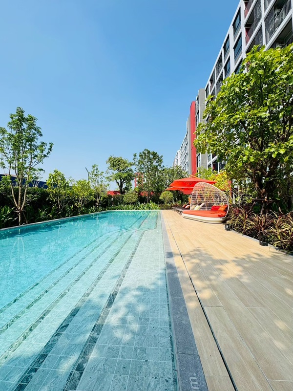 dcondo Vivid Rangsit คอนโดตรงข้าม ม.กรุงเทพ ข้ามสะพานลอย = ถึงมหาลัย พร้อมอยู่! โทร 061-616-1426 รูปที่ 4