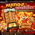 🔥 HUAYASIA เว็บนี้ที่เดียว... จบ ครบ จ่ายไว! 🔥