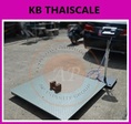 เครื่องชั่งแบบวางพื้น2000กิโลกรัมค่าละเอียด 200 กรัม แท่นชั่งเป็นเหล็กลายขนาด 120 x 120 เซนติเมตร  ZEPPER A12-ECS-B-1212-2000 (รุ่นนี้เหล็กหนาพิเศษ ทน ทาน)