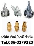 วูซังวาล์ว Woosung Check Valve WAFER DISE CHECK SCREWED END WAFER SWING CHECK STRAINER