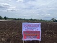 ขายที่ดินตำบลลำนารายณ์ อำเภอชัยบาดาล จังหวัดลพบุรี เริ่มต้น153 ตรว-205ตรว.โฉนดครุฑแดง