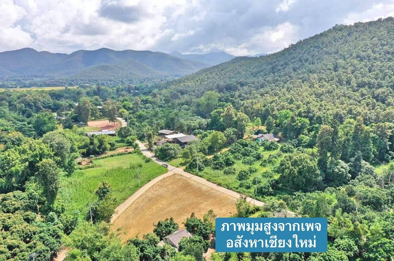 ขายที่ดินแปลงสวย 107 ตารางวา ทำเลดี ติดเนินเขา สันกำแพง เชียงใหม่  รูปที่ 6