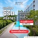 รูปย่อ แอทโมซ ซีรีน ศรีราชา คอนโด ใกล้ ม.เกษตรฯ ศรีราชา แค่ข้ามถนนก็ถึง! โทร 0931681685 รูปที่1