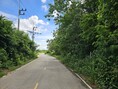 ขายที่ดินทำเลดี ตำบลวังขนาย อำเภอท่าม่วง จังหวัดกาญจนบุรี