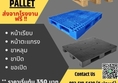 Pallet พาเลท