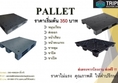 Pallet พาเลท