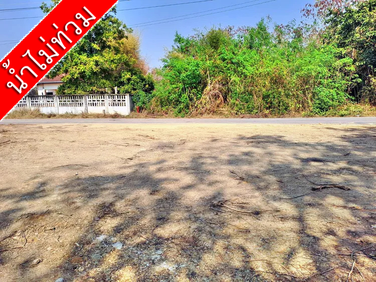 ที่ดินตำบลพิชัย หลัง รพ.ค่ายฯ เมืองลำปาง ทำเลสวย น้ำไม่ท่วม เพียง ต.ร.ว.ละ 4,000 บาท รูปที่ 3