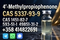 Best Quality CAS 5337–93–9 4-Methylpropiophenone Light Yellow Liquid  