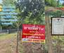 รูปย่อ ขายถูกมาก!! ที่ดินเปล่า 250.7 ตร.ว. ติดถนน 4 เลน ทำเลทอง อ.หนองเรือ จ.ขอนแก่น ใกล้ตลาดเทศบาล โรงพยาบาลฯ รูปที่2