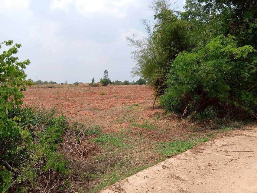 ขายที่ดิน 12ไร่ นส.3 หนองแปน มัญจาคีรี ขอนแก่น  รูปที่ 3