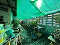 ขายบ้านเดี่ยวพร้อมห้องเช่า ชัยพรวิถี 3 อยู่ติดถนน เลี่ยงเมืองพัทยา FP-H02479  