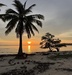 รูปย่อ ขายที่ดิน 27 ไร่ แหลมสอ เกาะสมุย สุราษฎร์ธานี รูปที่4