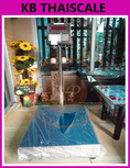 เครื่องชั่งมีปริ้นท์ในตัว เครื่องชั่งพร้อมพิมพ์ ตาชั่งพิมพ์น้ำหนัก 100kg TI-02P-3040-100K