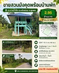 ขายสวนมังคุดพร้อมบ้านพัก ต.บางนําจืด อ.หลังสวน จ.ชุมพร