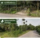 รูปย่อ ขายสวนมังคุดพร้อมบ้านพัก ต.บางนําจืด อ.หลังสวน จ.ชุมพร รูปที่3