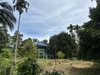 รูปย่อ ขายสวนมังคุดพร้อมบ้านพัก ต.บางนําจืด อ.หลังสวน จ.ชุมพร รูปที่6