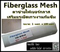 Fiberglass Mesh (FRP Mesh) ตาข่ายไฟเบอร์กลาสเสริมแรงระบบกันซึม
