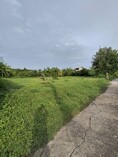ขายที่ดินถมแล้ว 198 ตร.ว.ย่านนวมินทร์ หมู่บ้านศรีนครพัฒนา