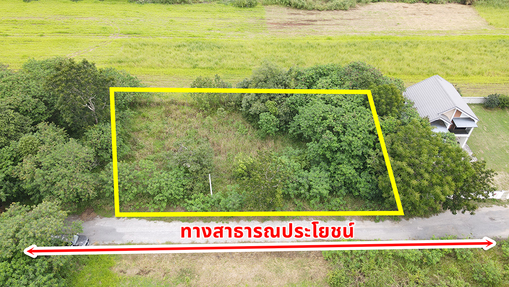 ขายที่ดินเปล่า ใกล้ทางเข้า M6 หนองสาหร่าย  ปากช่อง นครราชสีมา รูปที่ 5