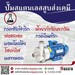 รูปย่อ ปั๊มเคมี ปั๊มดูดสารเคมี ปั๊มสแตนเลส316แอล Chemical pump ขนถ่ายสารเคมี+ รูปที่1
