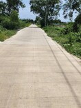 ทดคลองสามพี่เอ๋ ขาย ที่ดิน - ปทุมธานี    1000000 บาท
