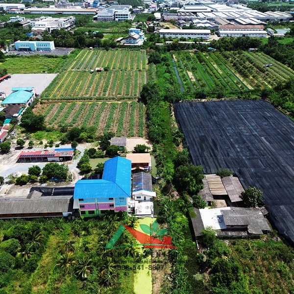 ขายที่ดินเปล่า64-1-49.3ไร่ หน้าวัดศรีนวล ซ.เพชรเกษม81 ผังสีเขียว  รูปที่ 6