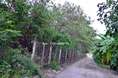 ขายด่วน! ที่ดินทำเลทอง 4 ไร่เศษ ติดถนนพหลโยธิน คลองหลวง (ผังสีส้ม)